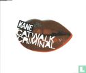 Catwalk Criminal - Image 1