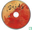 Seeds
