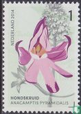Orchids of the Gerendal - Image 1