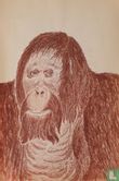 Orang oetan - Afbeelding 1