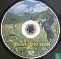 The Adventures of the Black Stallion 3 - Afbeelding 3