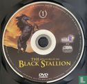 The Adventures of the Black Stallion 1 - Afbeelding 3