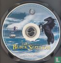 The Adventures of the Black Stallion 2 - Afbeelding 3