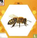 Sticker 12 - Afbeelding 1