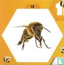 Sticker 13 - Afbeelding 1