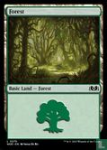 Forest - Image 1