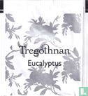 Eucalyptus - Image 1
