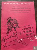 Color Climax 14 - Image 1