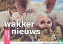 Wakker nieuws 3 - Image 1