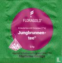 Jungbrunnen-tee [r] - Afbeelding 1