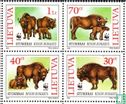 WWF-Wisent or European Bison - Image 1