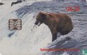 Brown Bear with Salmon - Afbeelding 1