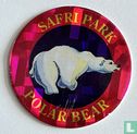 Polar Bear - Image 1