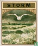 Storm - Afbeelding 1
