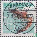 Pandalus borealis - Image 1