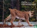 Ukraine 5 Hryven 2023 (Folder) "Eurasian lynx" - Bild 1