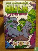 Incredible Hulk by Peter David Omnibus Volume 2 - Image 1