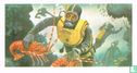 Spearfishing - Image 1