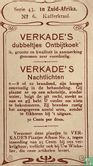 Kafferkraal