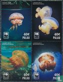 Jellyfish - Image 2