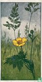 Boterbloem met Zorggras - Image 1