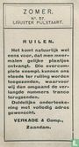 Liguster Pijlstaart