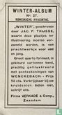 Romeinsche Hyacinthe