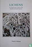 Lichens - Image 1