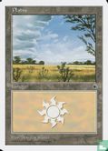 Plains