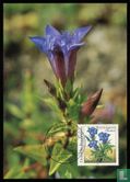 Nature and environment - Image 1