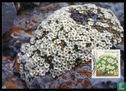 Nature and environment - Image 1