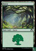 Forest - Afbeelding 1