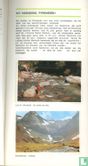 De Pyreneeën - Image 3