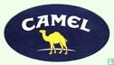 Camel - Image 1