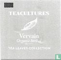 Vervain - Afbeelding 3