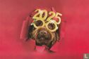 2025  - Bild 1