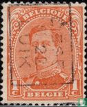 Le roi Albert I