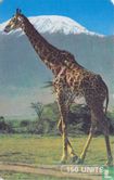 Giraffe - Afbeelding 1