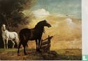 Paulus Potter: Paarden in de weide - Afbeelding 1