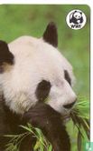 WWF Panda - Image 1