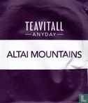 Altai Mountians - Afbeelding 1