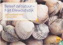 Natur erleben - Fort Ellewoutsdijk - Bild 1