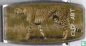 Clip-art [Cheeta] - Image 1