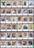 Mammals of the Netherlands - Image 1