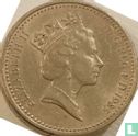 Royaume-Uni 1 pound 1985 (type 2) "Welsh leek" - Image 1