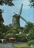 Alkmaar "De molen van Piet" (Oorspronkelijk Molen de Groot Bouwjaar 1769) - Afbeelding 1