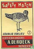 Courlis corlieu - regenwulp - Bild 1