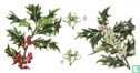 Holly