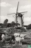 Oude windmolen, Gasthuis (Bemelen) - Afbeelding 1