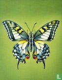 Koninginnepage / Papilio machaon - Afbeelding 1